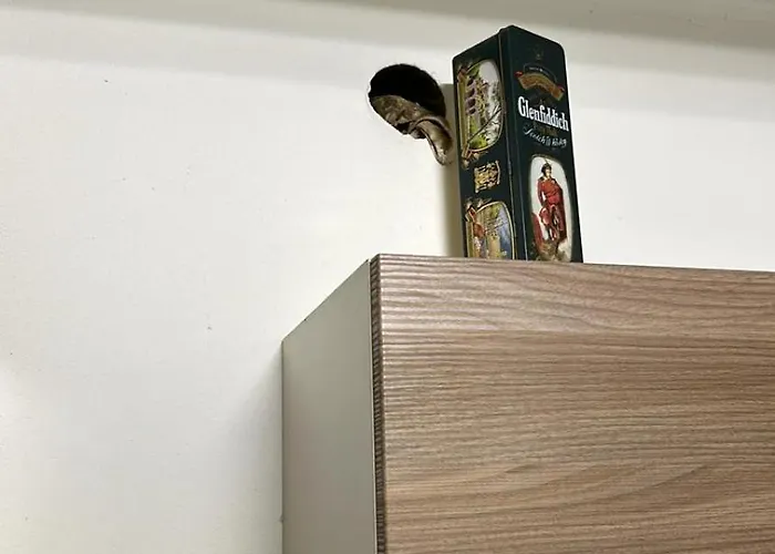 Lejlighed Angeli E Angeli *